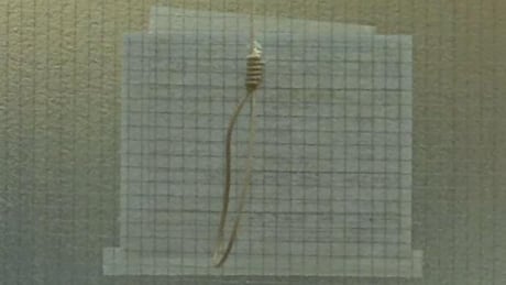 A lawyer for the College of Physicians and Surgeons of Alberta's complaints director said Wednesday that Dr. Wynand Wessels should receive a one-year suspension for tying this noose and taping it to an operating room door in 2016. Wessels' lawyer argued for a much lighter penalty. Noose close
