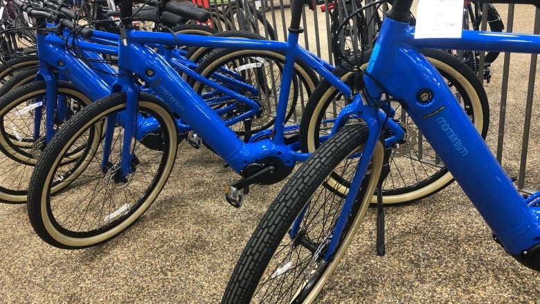 kelly blue bike