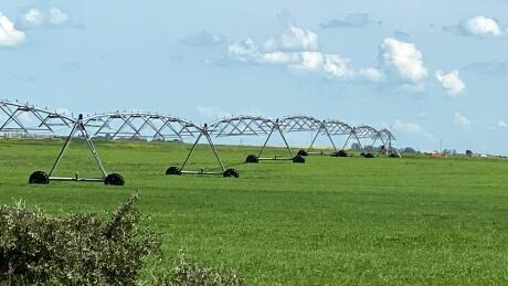 Farm groups are lauding the Saskatchewan government's plan to invest $4-billion in irrigation expansion, but others are questioning the lack of First Nations consultation and the large cost to taxpayers. irrigation