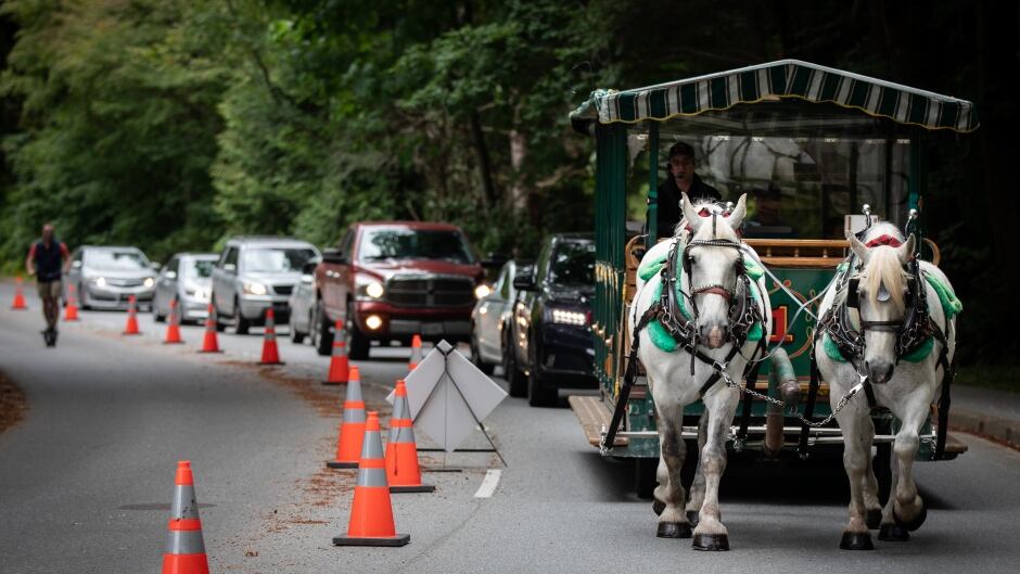 stanley park horse ride