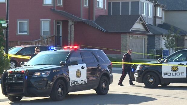 Teen pleads guilty to murder in daytime execution-style killing near Calgary playground