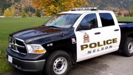 Nelson police truck
