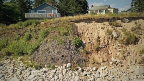 An eroding shoreline in St. Margarets Bay, N.S. The property on the left is using natural systems to slow erosion. An eroding shoreline in St Margaret’s Bay. The property on the left is using natural systems to slow
