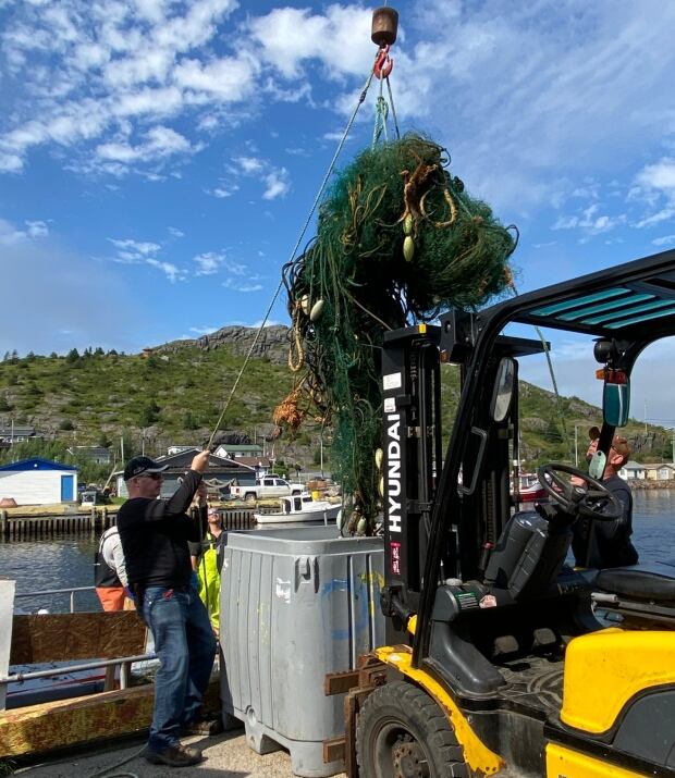 The dangers of ghost gear 1 whale dead, another still entangled in