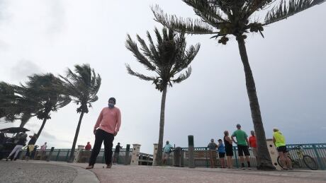 People gather to watch the strong waves on the beach as palm trees sway in the wind, Sunday, Aug. 2, 2020, in Vero Beach, Fla. Isaias weakened from a hurricane to a tropical storm late Saturday afternoon, but was still expected to bring heavy rain and flooding as it barrels toward Florida. Tropical Weather Florida