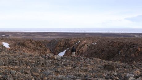 Mark Jellinek of the University of British Columbia looks toward the Devon ice cap in a handout photo, standing on rocks that are more than a million years old. The deep valleys scarred into the surface of Mars under thick sheets of ice show that the Red Planet once mirrored the Canadian High Arctic, says a new study. Mars Ice Sheets 20200804