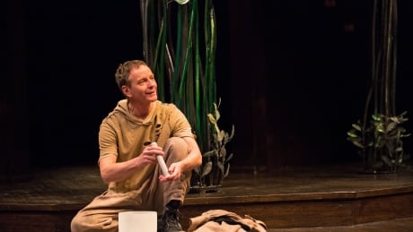 Brent Carver appeared as Feste in Stratford Festival's 2017 production Twelfth Night. Brent Carver
