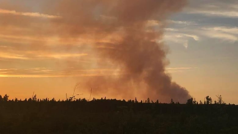Wildfire smoke seen against the horizon.