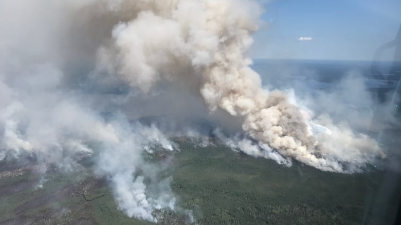 Thunder Bay - CBC News
