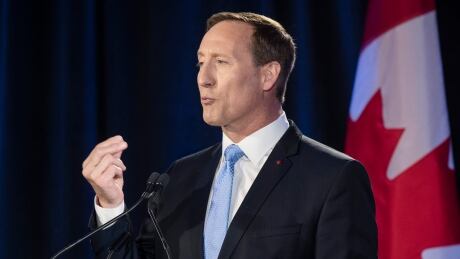 Conservative Party of Canada leadership candidate Peter MacKay speaks during the English debate in Toronto on Thursday, June 18, 2020. THE CANADIAN PRESS/ Tijana Martin Conservative Leadership 20200814