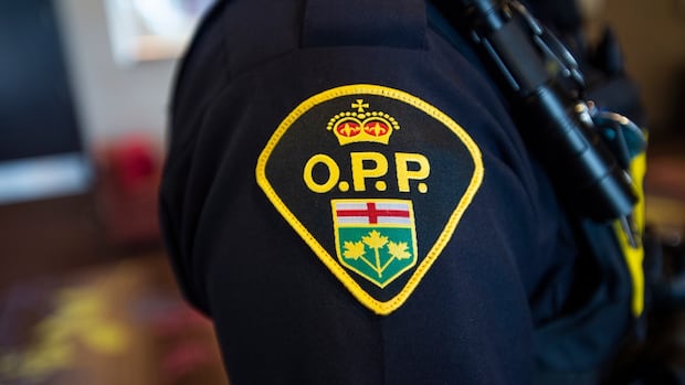 Pepper spray, altercations force early end to school football game in Caledon: police | CBC News