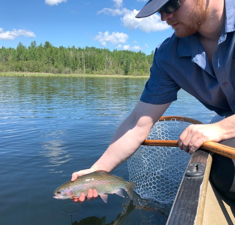 Guided Fly Fishing with Philip Rowley, Guided Fly Fishing Alberta