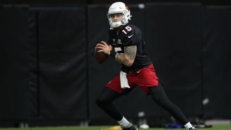 Quarterback Chris Streveler, who won a Grey Cup with the Winnipeg Blue Bombers last year, survived the final round of cuts on Saturday and made the Arizona Cardinals' 53-man roster. 1268613149