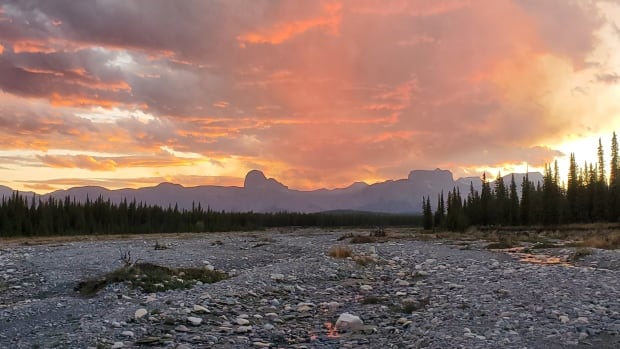 Wildfire near Banff sparked by abandoned campfire finally extinguished after 10 months
