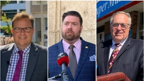 Mayoral candidates