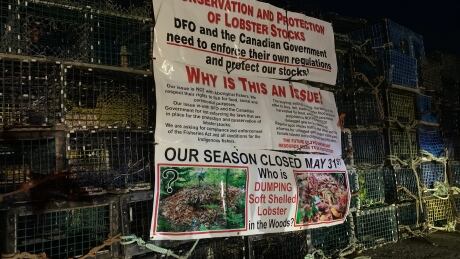 Stacks of lobster pots at the Saulnierville, N.S. wharf with signs describing the grievances of commercial fishermen. They say DFO is not enforcing the deadline for the fishing season. Saulnierville wharf blockade