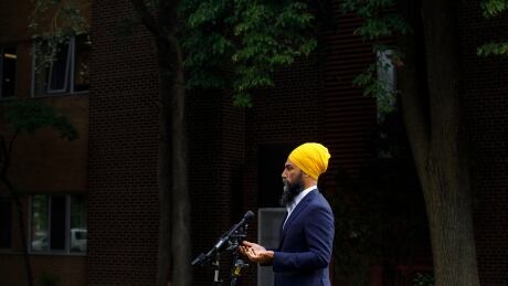 Federal NDP Leader Jagmeet Singh speaks during a press conference on the federal and provincial government's back to school plans, in Toronto, Wednesday, Aug. 26, 2020. CP18846350