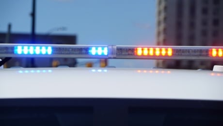 The proposal submitted by Chief Steve Williams appears to be an effort to address the fact that police by default have become the first line of contact for severely troubled people. London police generic