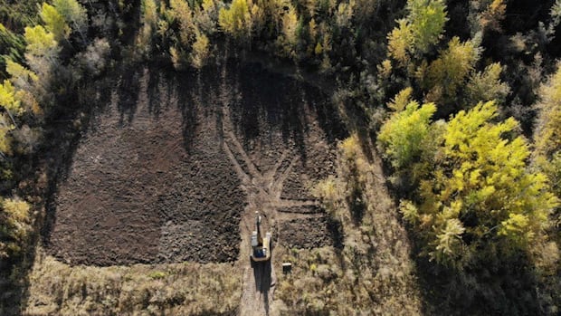 Orphan well cleanup plan coming next month, says Alberta premier