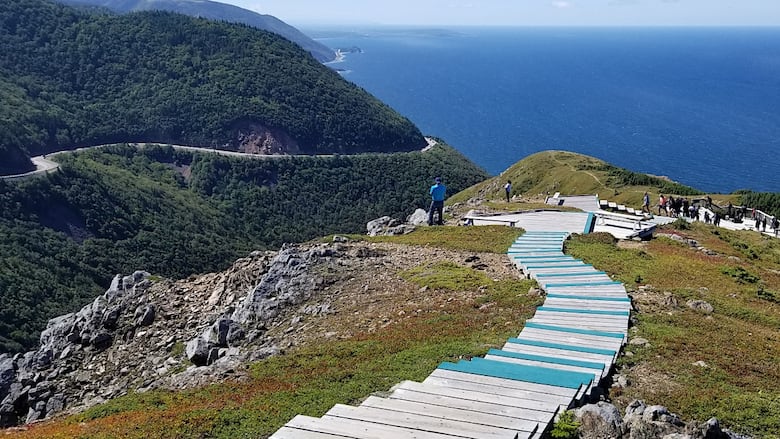 A trail on a cliff overlooking the ocean.