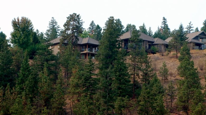 Homes Near Trees