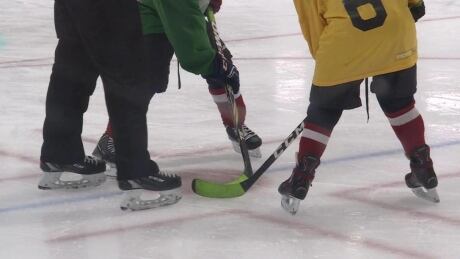 minor hockey generic