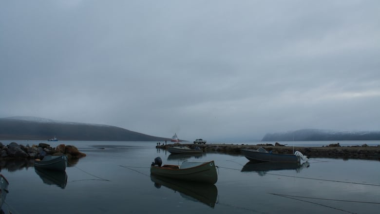 Boats in a still harbour 