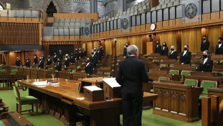 Pages have complained MPs and staff are not wearing masks and physically distancing in the opposition lobby in West Block potentially putting their safety at risk, CBC News has learned. Parliamentary pages