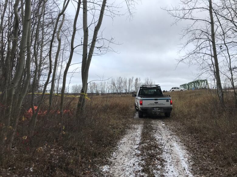 bear attack hay river