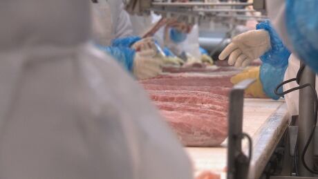 Quebec is dealing with a growing number of COVID-19 outbreaks in dozens of workplaces like the production line at this Quebec-based meat processing facility. olymel production line