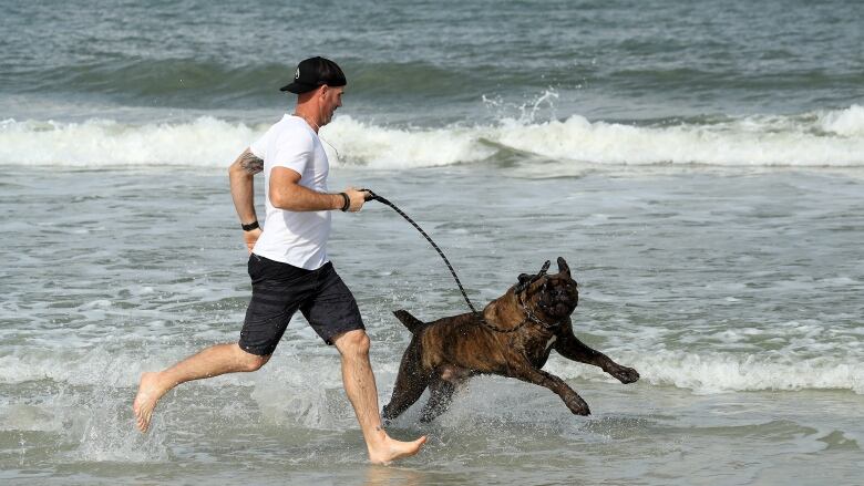 Dogs Not Allowed On National Park Beaches Starting Thursday Cbc News