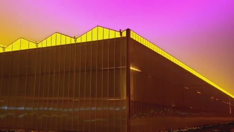 Rapid growth of Windsor-Essex greenhouses leads to fight over water access Rapid growth of Windsor-Essex greenhouses leads to fight over water access