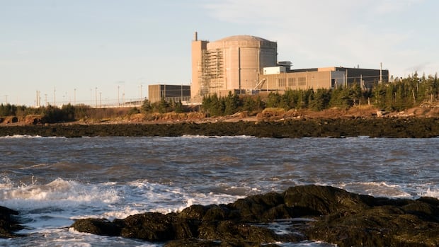 N.B. Power risked 'fatigue-related errors' at nuclear plant, regulator says