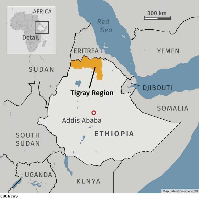 Le forze eritree si ritirano dalle principali città del Tigray in Etiopia, un giorno dopo aver dichiarato un cessate il fuoco