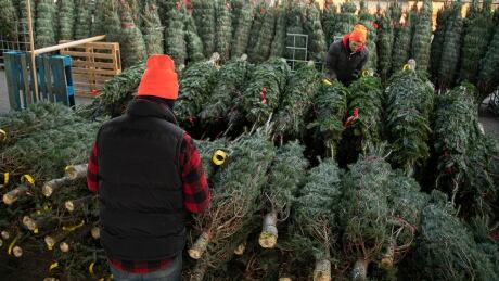 COVID-19 in Quebec: What you need to know this weekend COVID-19 in Quebec: What you need to know this weekend