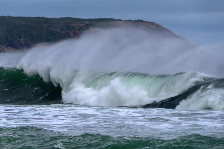 Waves At Witless Bay