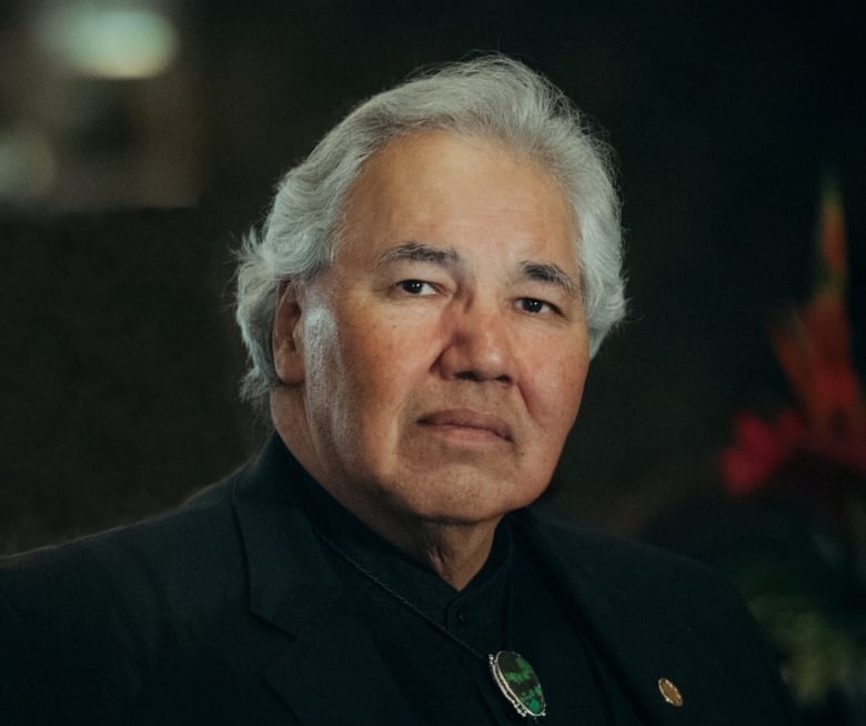 hon senator murray sinclair