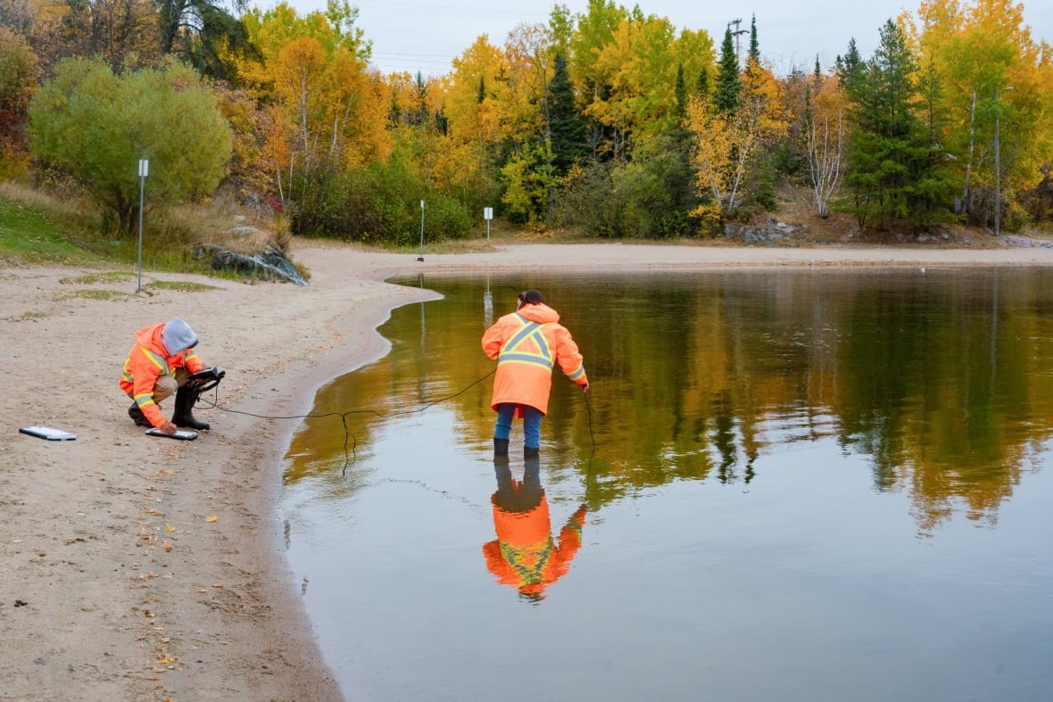 people in orange vests stand in shallow water