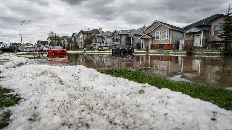 Calgary Council Committee Votes To Support Over 2M For Hail resistant 