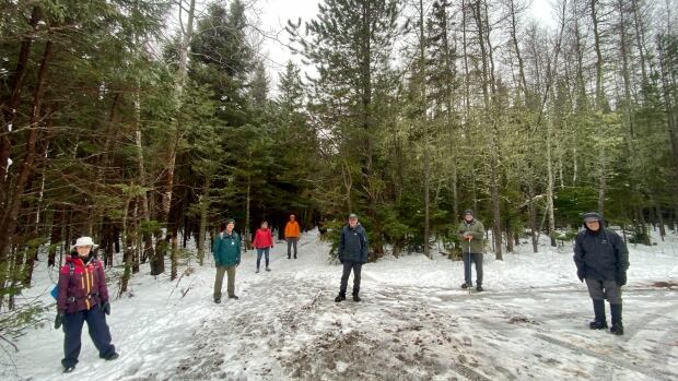 Hike along sections of the Winter River Trail in Suffolk, PEI, including members of the non-profit organization Island Trails on 08 Jan 2021. Seven hikers on a snow-covered forest trail in winter