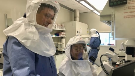 Researchers work on a COVID-19 vaccine at Saskatoon’s Vaccine and Infectious Disease Organization (VIDO) lab. VIDO