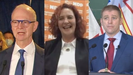 N.L. heading to the polls on Feb. 13 as Andrew Furey seeks Liberal majority