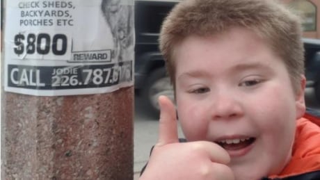 Windsor boy, 9, earns ,000 reward for finding cat missing since fall Windsor boy, 9, earns ,000 reward for finding cat missing since fall