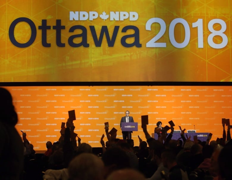 ndp convention 20180216