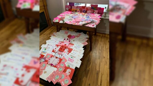 Ottawa woman shows seniors they're loved with hundreds of handmade