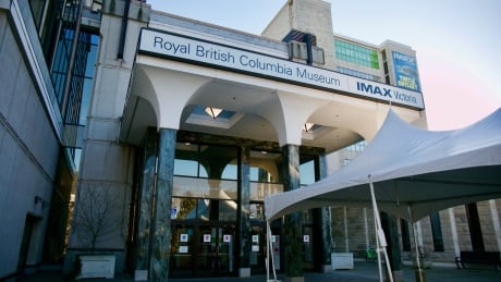 Dan Muzyka, chair of the Royal B.C. Museum board, will be taking over as acting CEO while recruitment begins to replace Jack Lohman. Royal British Columbia Museum