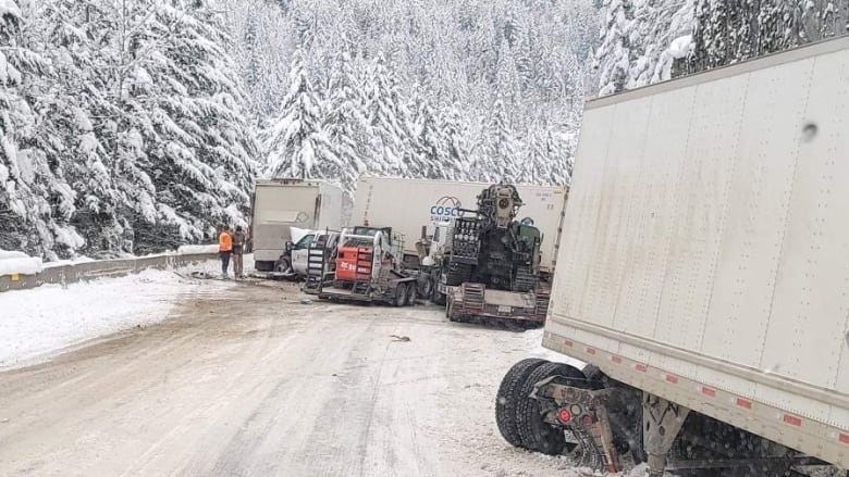 Man and dog were killed in Coquihalla Highway chain reaction crash