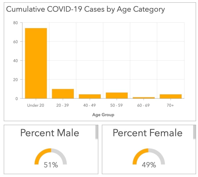 100 New Covid 19 Cases As N L Grapples With Spiralling Outbreak Cbc News