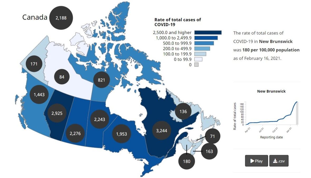 By the numbers A look at New Brunswick's first year with COVID19