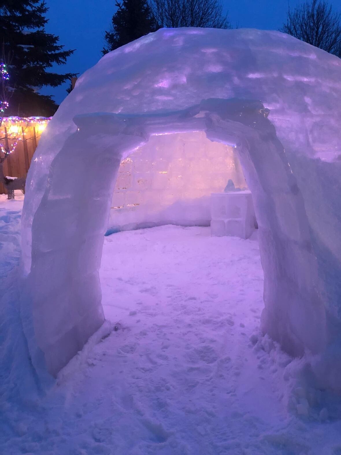 Hamilton family builds 'really cool ice castle' in backyard CBC News